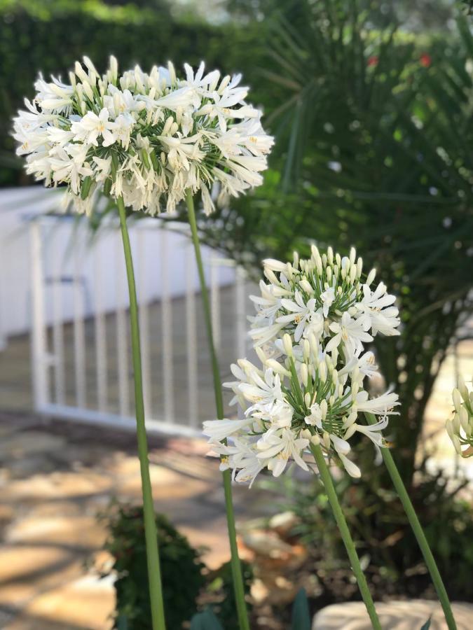 Villa Elia Bed And Breakfast Kiti ภายนอก รูปภาพ