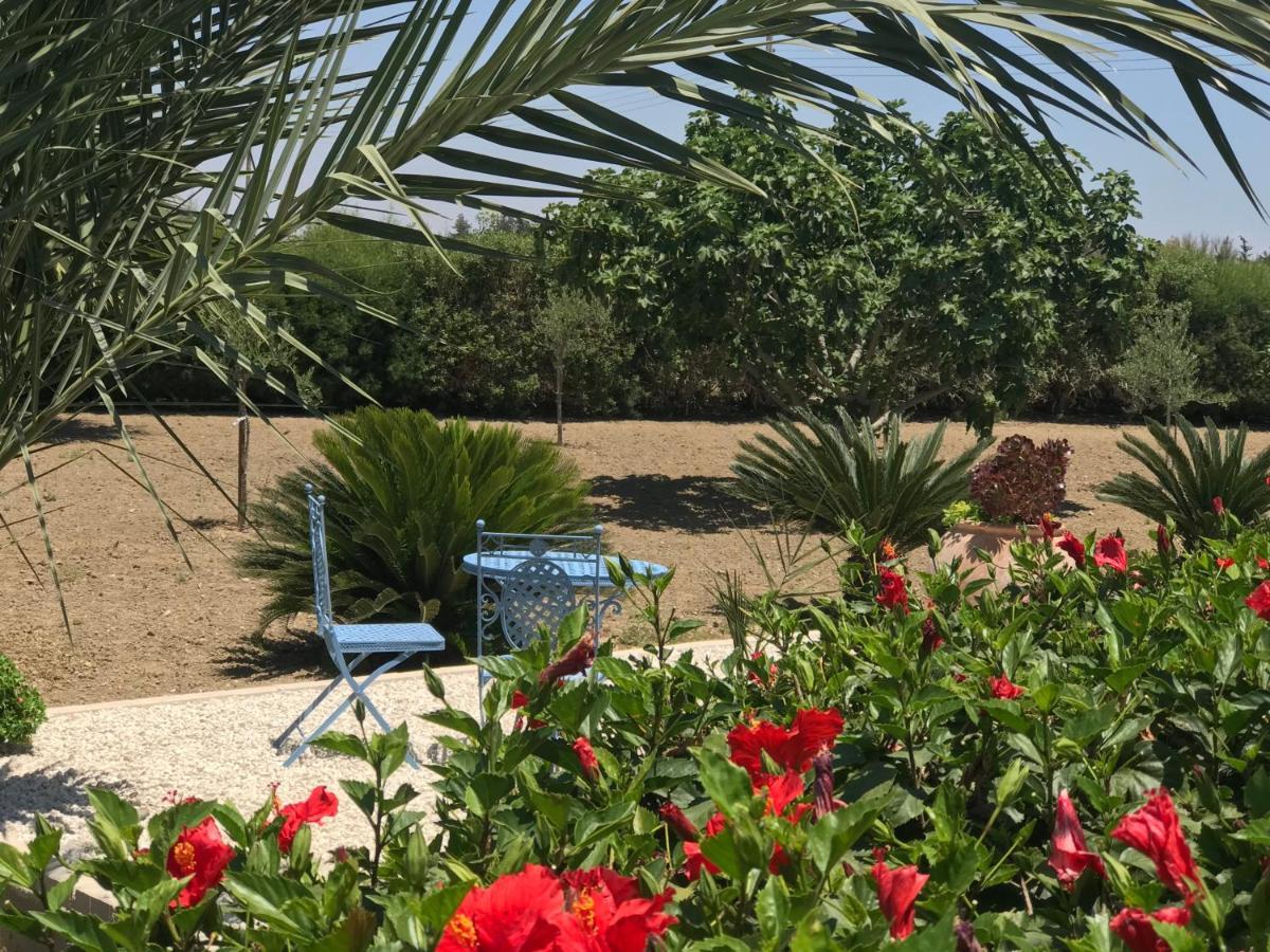 Villa Elia Bed And Breakfast Kiti ภายนอก รูปภาพ